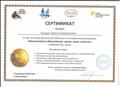 Сертификат участника обучения на интерактивном семинаре "Инклюзивное образование: право, цели, смыслы" в объеме 8 академических часов. Сертификат участника обучения на интерактивном семинаре "Инклюзивное образование: право, цели, смыслы" в объеме 8 академических часов.